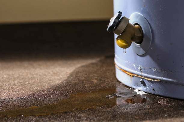Best Water damage contractors near me  in Buhl, MN