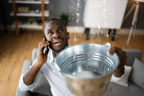 Best 24-hour water damage restoration  in Buhl, MN