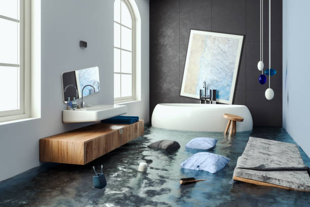 Best Carpet water damage restoration  in Buhl, MN