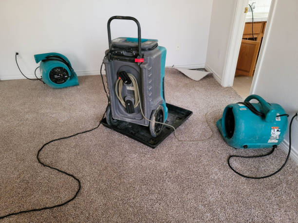 Best Commercial water damage restoration  in Buhl, MN