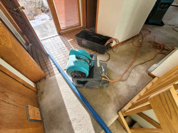 Best Fire Damage Restoration  in Buhl, MN