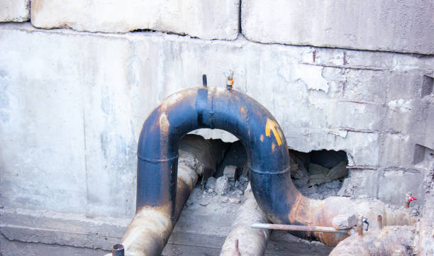 Best Water damage cleanup near me  in Buhl, MN