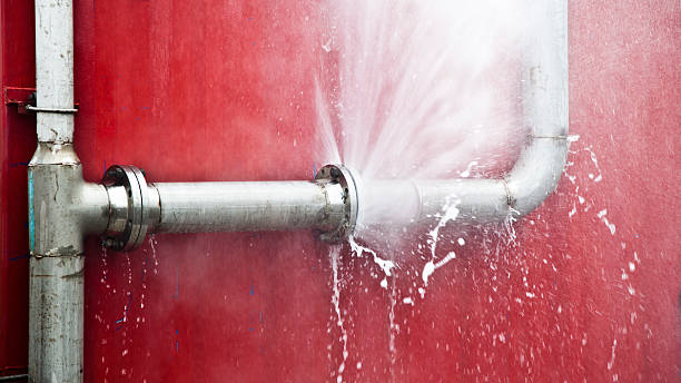 Best 24/7 water damage repair  in Buhl, MN
